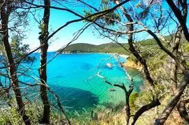 Cala Violina white-sand beach in the Maremma nature reserve
