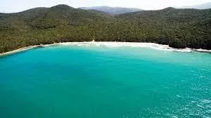Panoramic view of Cala Violina beach on the Tuscan coast