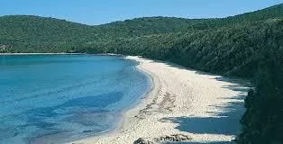 White sandy shoreline and clear sea at Cala Violina