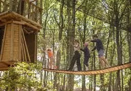 Rope course activity in the forest at Castelfalfi Adventure Park