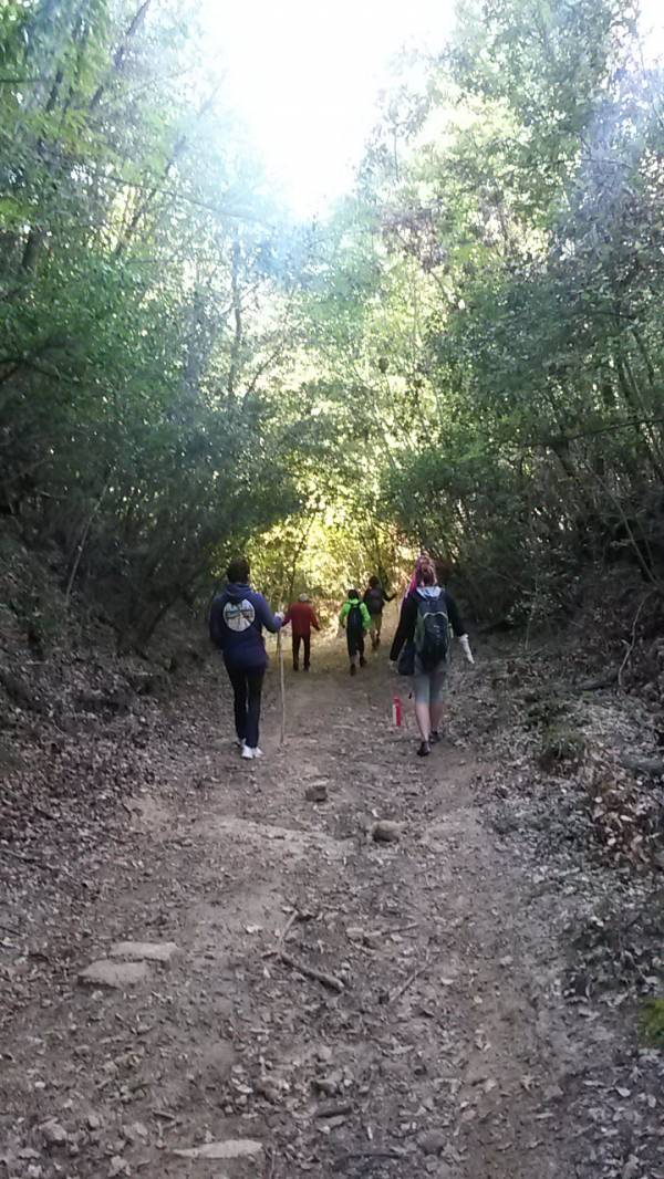 Family hiking through the woods near Podere Settefrati farmhouse
