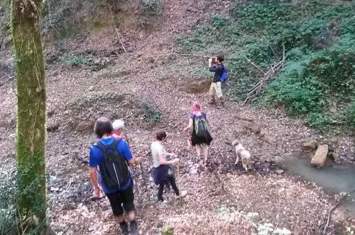 Walking along a forest trail near Podere Settefrati Tuscany