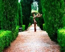 Il "Giardino Sonoro" di Ghizzano non è un luogo specifico ma è un riferimento all'insieme di installazioni di arte contemporanea che sono state collocate nel borgo, creando un'atmosfera artistica e suggestiva . Il nome si riferisce alla ricchezza di stimoli visivi e sonori (anche evocativi, come le installazioni artistiche) che si possono vivere passeggiando per le strade e i vicoli, noti per le case colorate e le opere d'arte che hanno trasformato il borgo in una sorta di "museo a cielo aperto"