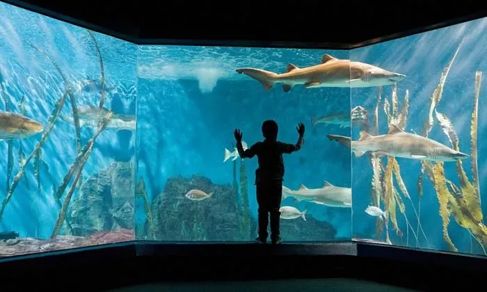 Interior view of the Aquarium of Livorno