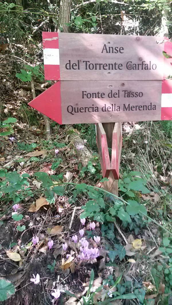 Trail sign to Quercia della Merenda near Podere Settefrati
