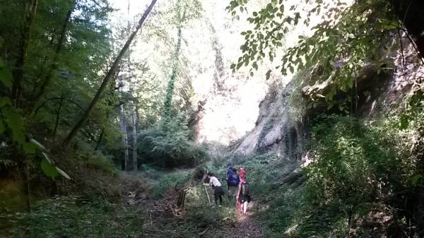 Trail to the Quercia della Merenda surrounded by Tuscan woodland